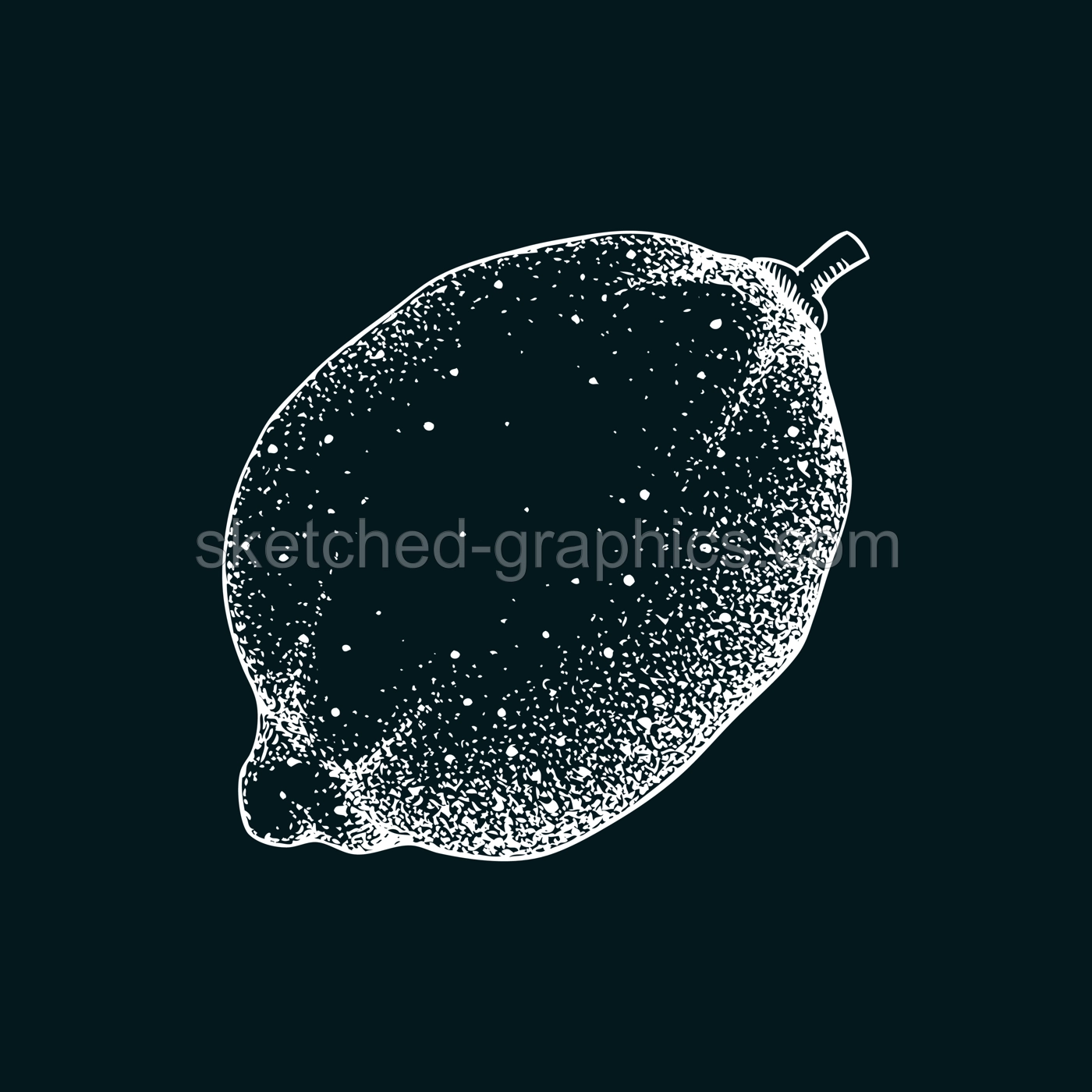 Vintage lime sketch on chalkboard. Citrus fruit hand-drawn vector illustration. Exotic plant drawing in engraved style. Botanical design element. NOT AI-generated Illustration